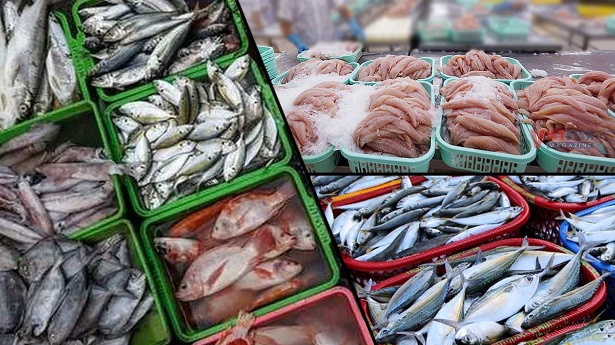 KNN India : Seafood Exports