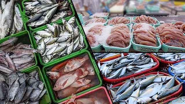 Seafood Exports to Get a Boost as EU Approves 102 New Indian Fishery Establishments