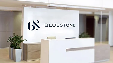 BlueStone Targets 705 Stores and ₹12,000 Cr Revenue by FY30, Betting on High Streets Amid Mall Shortage
