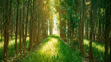 Photo by PRIME 12602