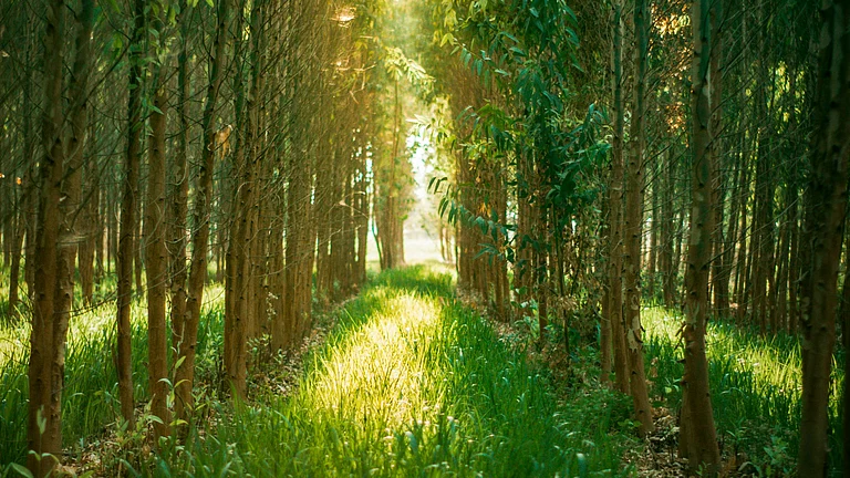 CSR Funding Mismatch - Photo by PRIME 12602