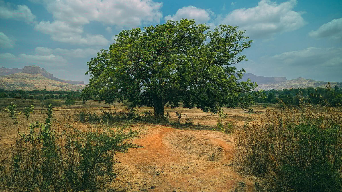 Photo by Harsh Suthar : Parliament panel urges stronger Heatwave Action Plan