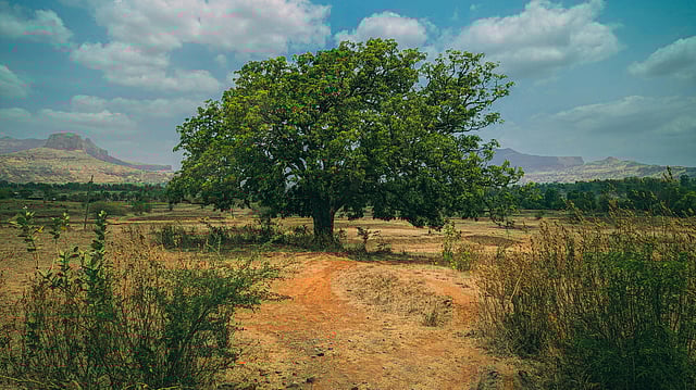 Parliament Panel Flags Intensifying Heatwaves, Seeks Stronger Action Plan as Climate Change Effects Worsen