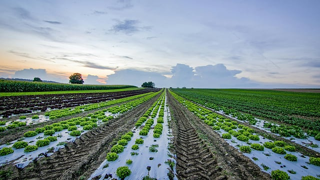 Centre Releases ₹3,200 Crore Crop Insurance for Farmers Hit by Natural Disasters, Unveils Faster Payouts
