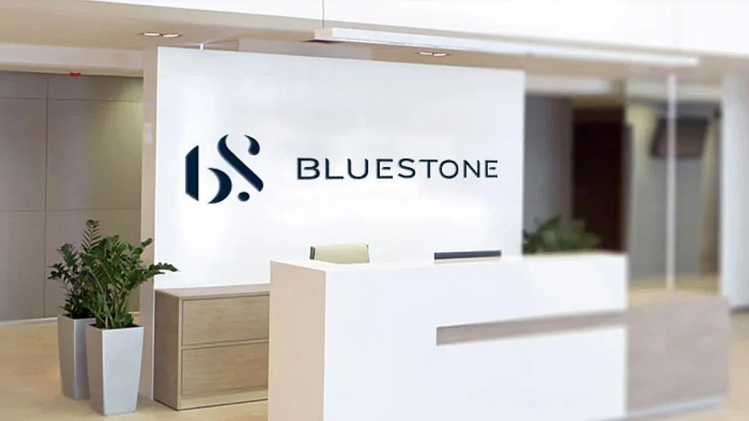 BlueStone Jewellery IPO