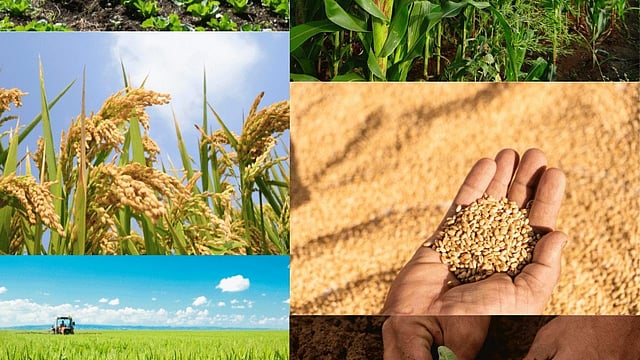 Agri Scientists to Visit Farms for Better Rabi Crop in Oct: Chouhan