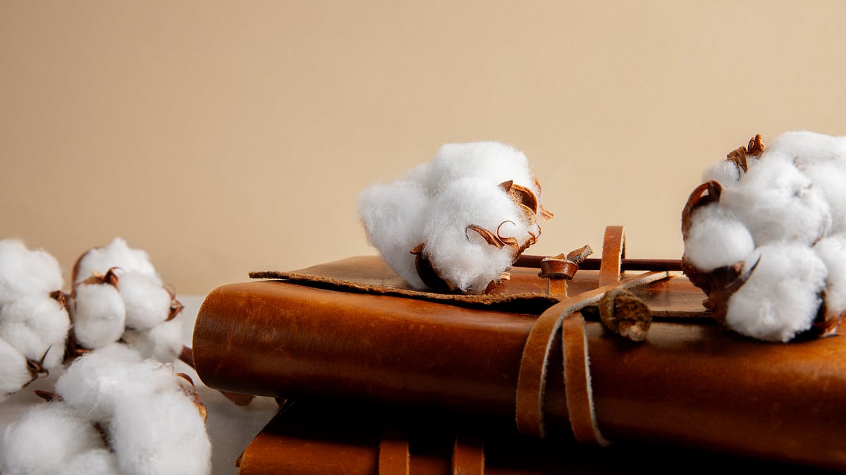 Govt Allows Duty Free Import of Cotton Till Sept 30  