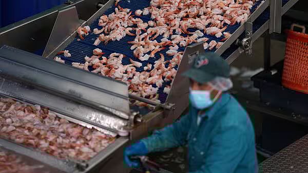 India's Seafood Exports Remain Flat in 2024-25 at $7.45 Billion