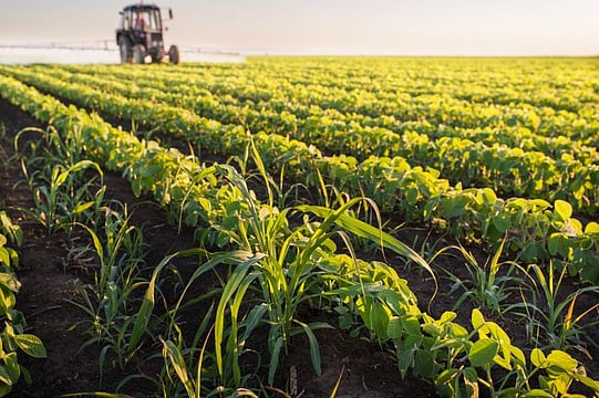Biostimulant Industry Federation Urges Govt Intervention Amid Trade Barriers, Regulatory Delays