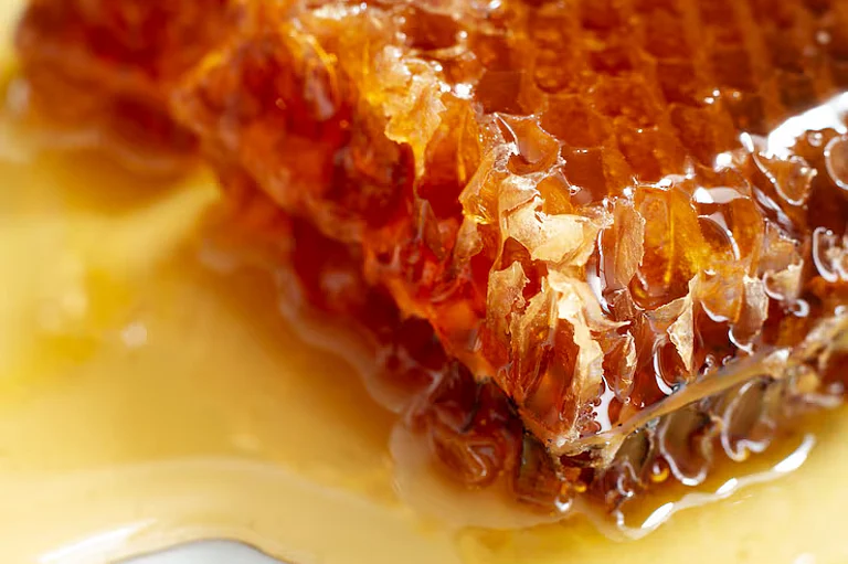 Natural honey exports - Freepik