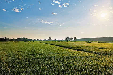 Punjab scraps land-pooling policy
