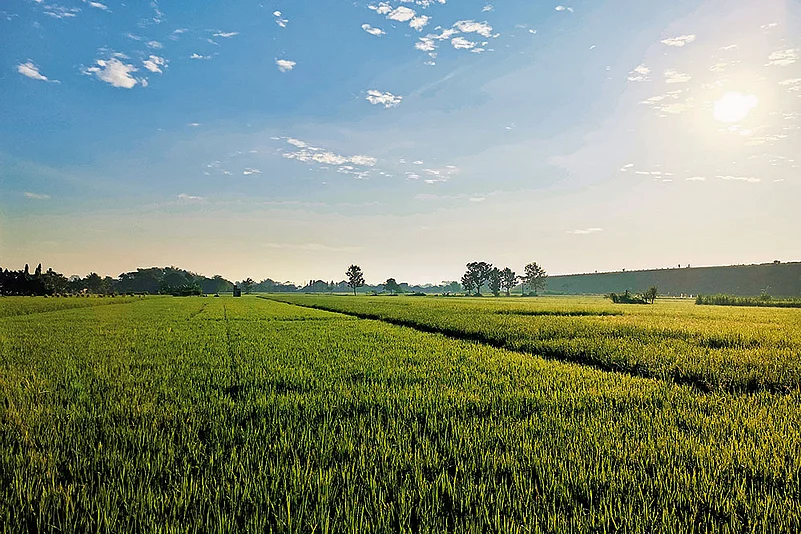 Punjab scraps land-pooling policy