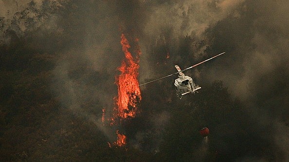 EU Wildfires Blaze Over One Million Hectares in 2025, Worst Season on Record