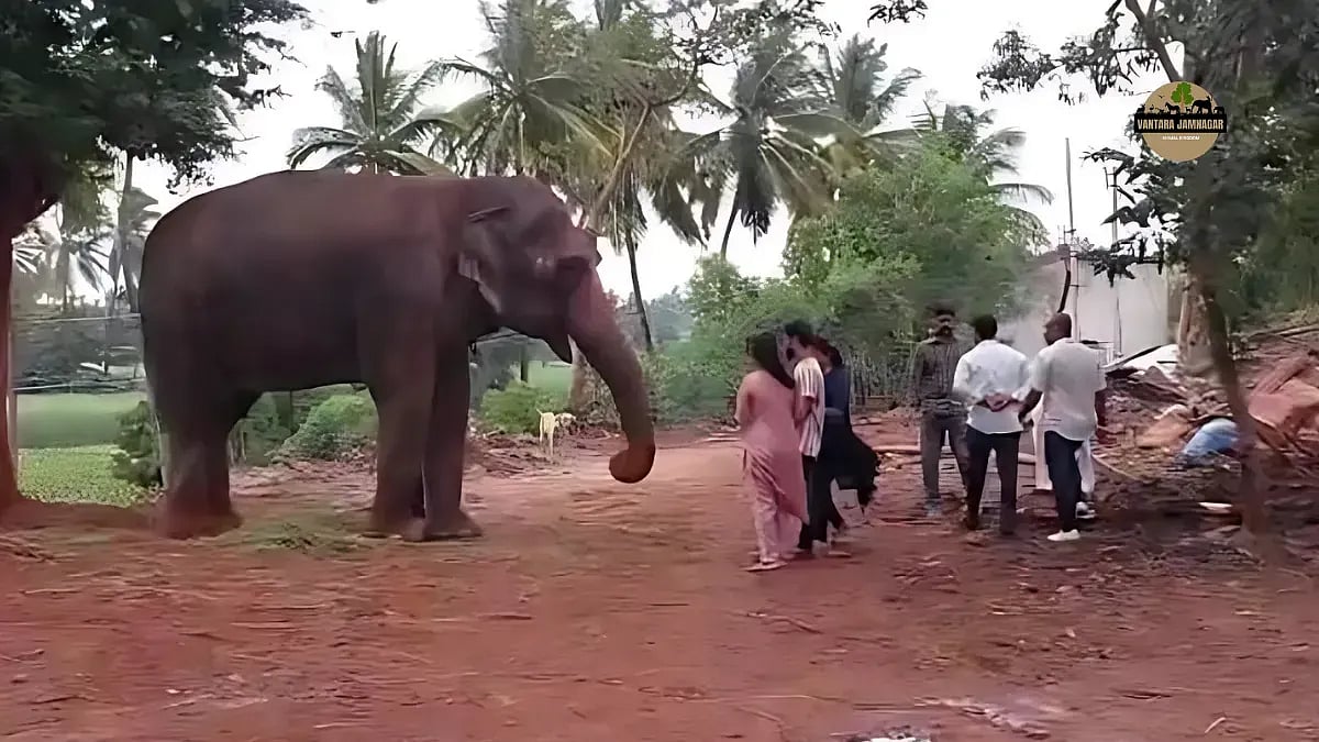 Vantara Jamnagar Website : Between Care and Controversy: Vantara’s Journey to the Supreme Court