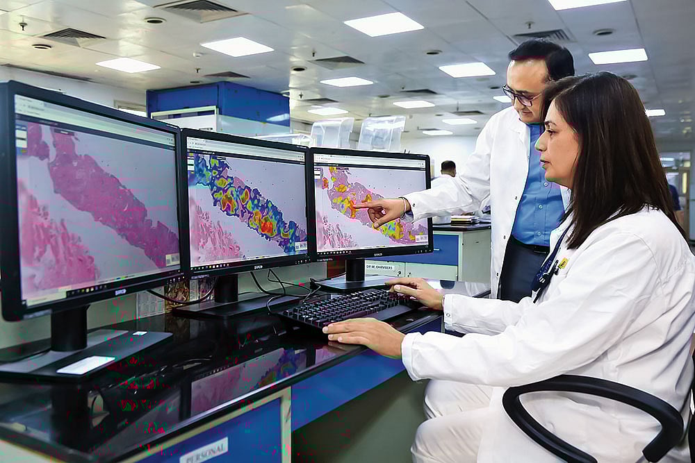 In 2024–25, Dr Lal PathLabs clocked revenues of ₹2,461 crore and annual growth of 10%