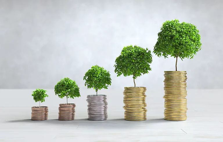 Investor Wealth - Freepik