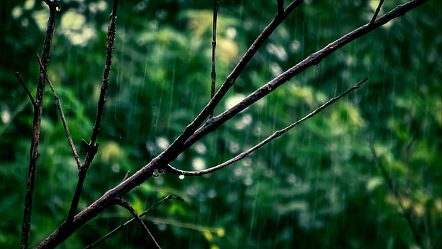 IMD Predicts Above-Normal Rains in September, Warns of Extreme Weather Events