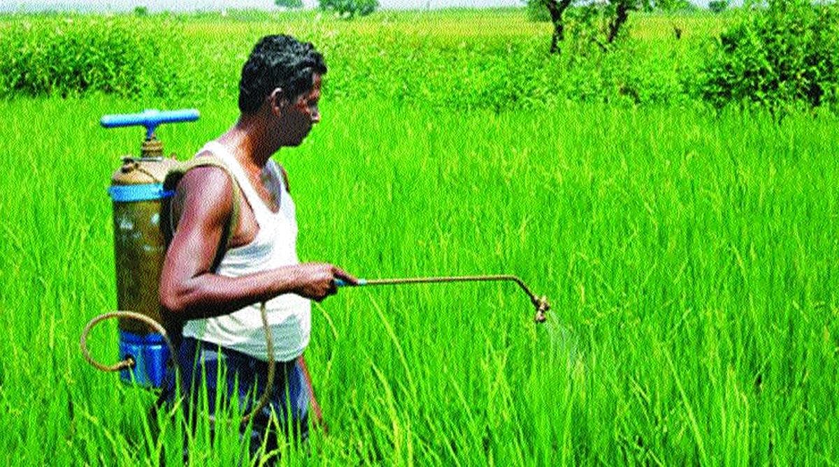 APEDA launches BHARATI Initiative to Boost Agri-Food Exports