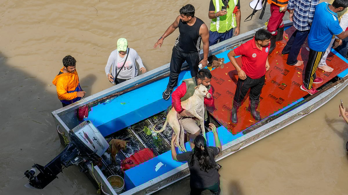 Photo by PTI : Residents stranded by rising Yamuna water in Delhi