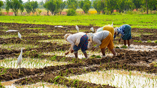 Farm Economy Gets a Boost: GST Council Slashes Rates on Tractors, Farm Machinery & Fertilisers to 5%