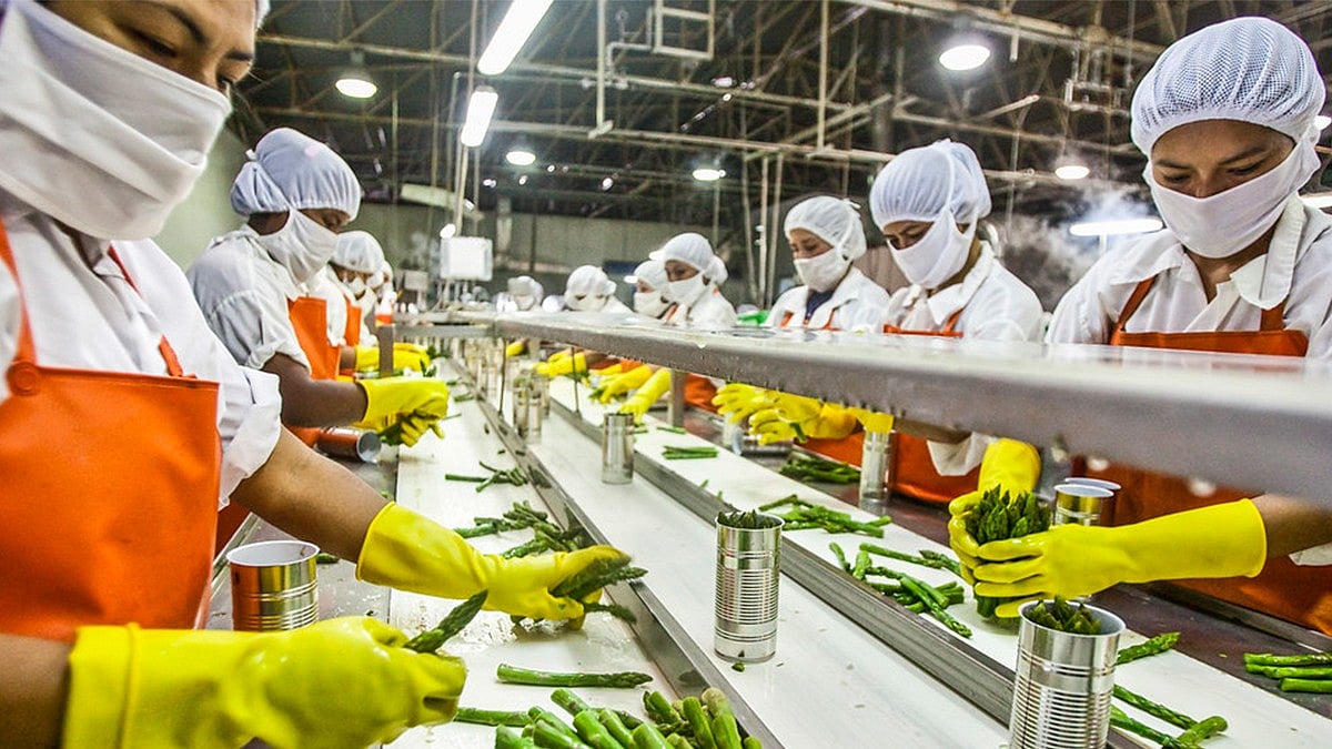Indias Food Processing Sector Projected to Reach $535 bn by FY26-End: Experts     