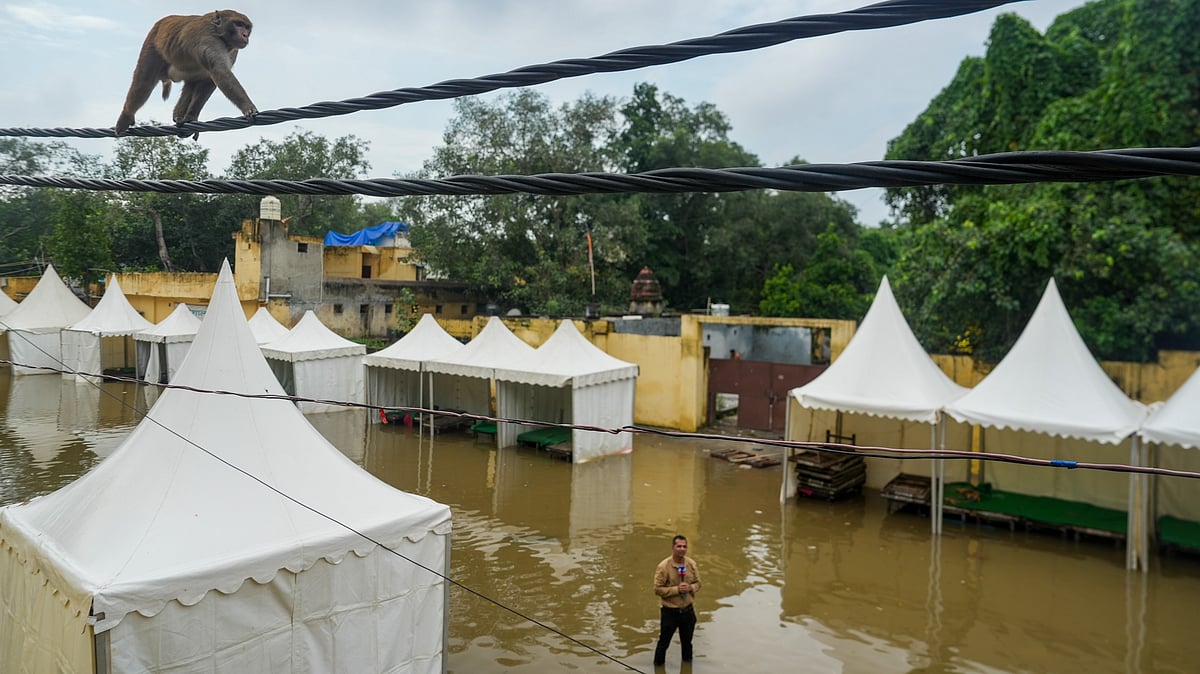 Photo by PTI : Flooded relief camps near the Yamuna River in Delhi following heavy rainfall