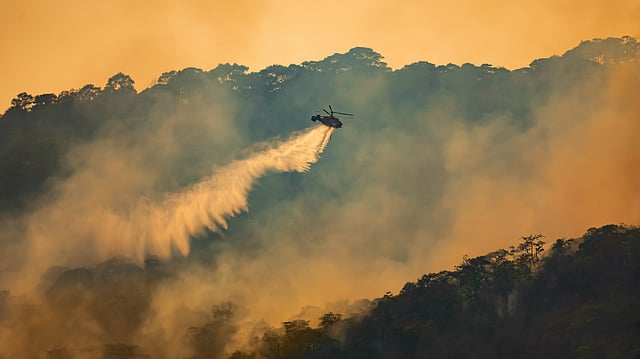 Climate Crisis to Amplify Lightning-Induced Wildfires, Threatening Public Safety & Health, Shows Study