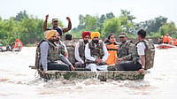 Punjab Floods: Food Security Holds, but Prices Are Under Pressure Punjab CM Bhagwant Mann