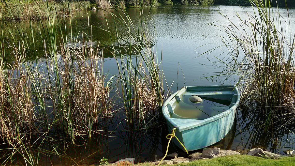 Photo by Rajendra Ray : The Environment Ministry has launched new rules to create independent auditors for environmental compliance.