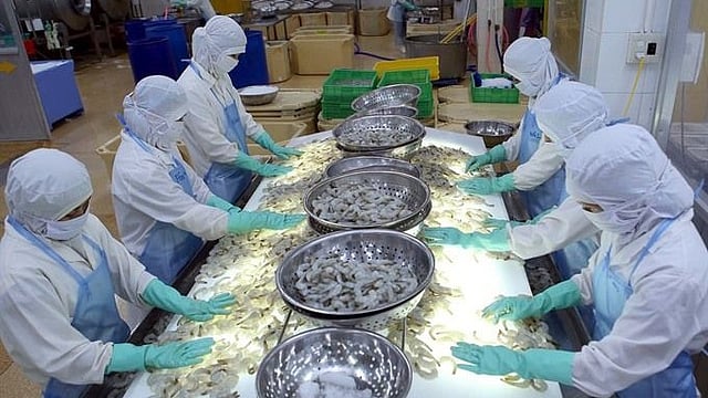 Indian Shrimp Export Industry to Witness 12% Revenue Decline in FY26: Report 