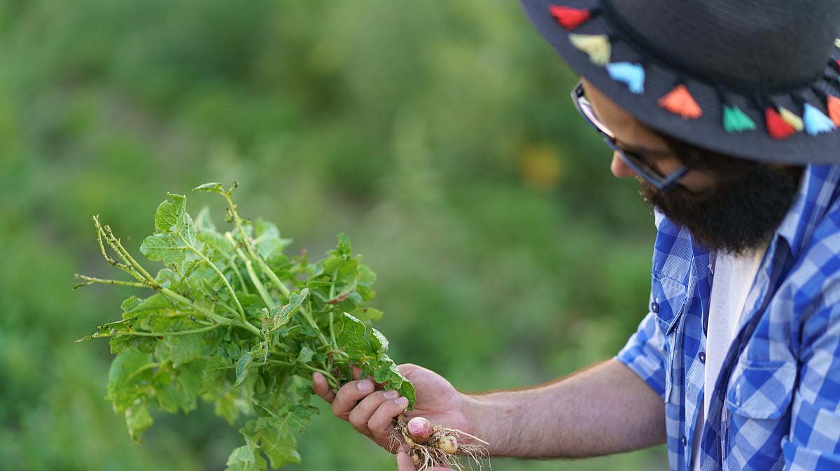 How GST 2.0 Enables Competitiveness and Sustainability in Agriculture