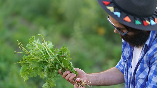 How GST 2.0 Enables Competitiveness and Sustainability in Agriculture