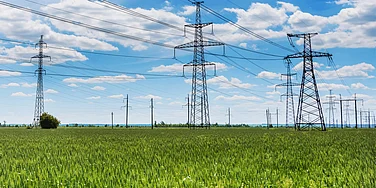 Powergrid