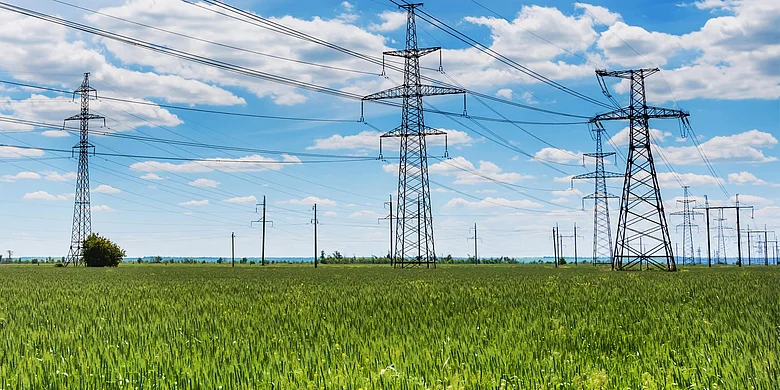Powergrid
