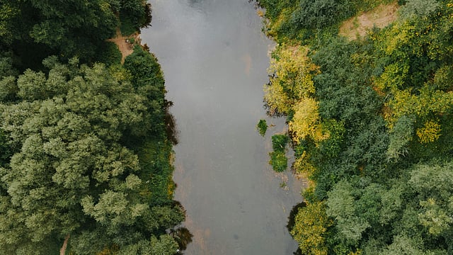 Global Water Resources Face Unprecedented Disruptions Amid Climate Extremes: WMO