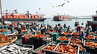 File Photo : Sea food export