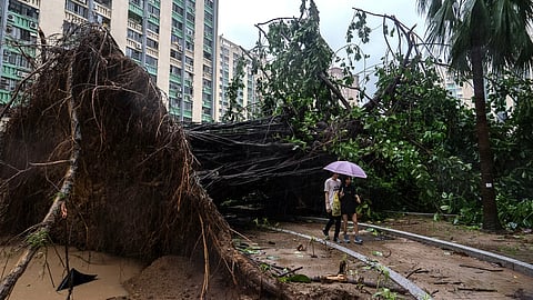 Typhoon hit Southern China