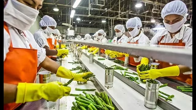 Global, Domestic Firms to Invest ₹1.02 Lakh Cr in Indian Food Processing Sector: Govt