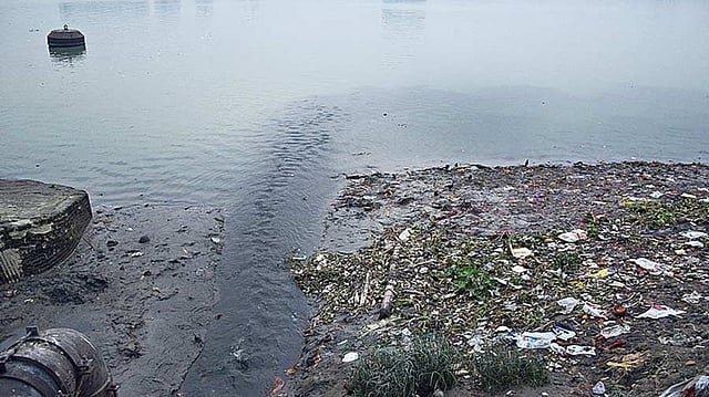 Packaging Waste Tops Plastic Pollution in High Biodiversity Zone Stretch of Ganga, Shows Study