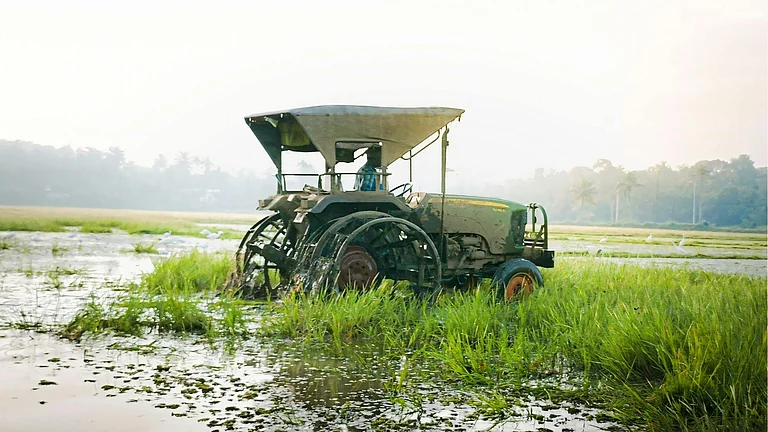 Paddy field in India - Photo by Vignesh Chandran