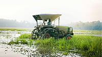 Photo by Vignesh Chandran : Paddy field in India