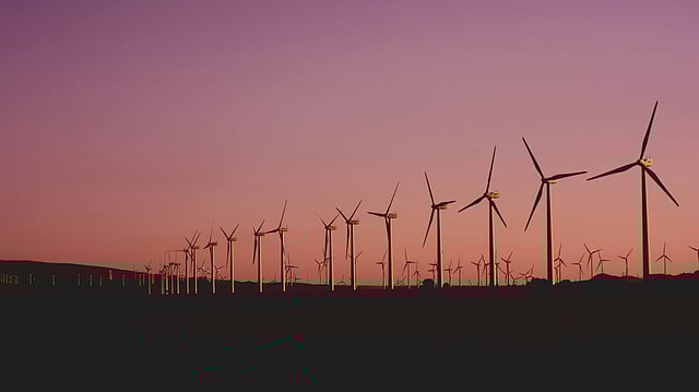 Renewables Surpass Coal in Global Power Generation for the First Time, Says Report