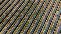 Photo by Charl Durand : Global renewable energy capacity expected to double by 2030