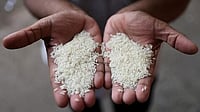 Basmati Rice Prices Drop 6% as Iran-Israel War Disrupts India's Export Trade Representative Image : Basmati Rice Prices Drop 6% as Iran-Israel War Disrupts India's Export Trade