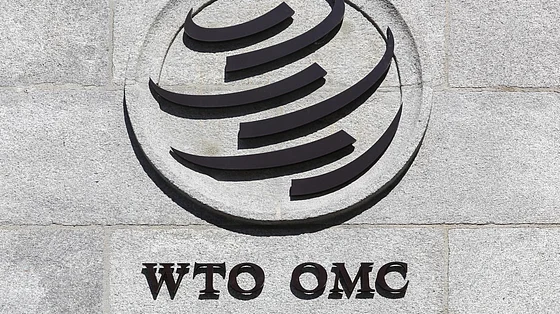 WTO Raises 2025 Global Trade Forecast to 2.4% – Outlook Business