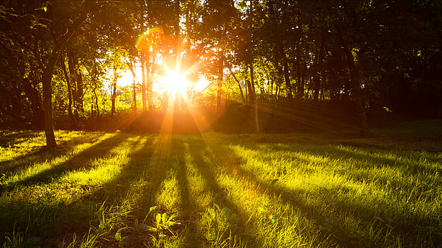 Pollution Led Decline in Sunshine Hours May Hit Solar Power Output in India