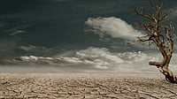 Rainforests at risk as climate crisis reaches dangerous thresholds