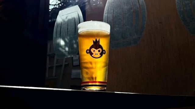 Bira 91 Maker’s Net Worth Wiped Out as Losses Cross ₹2,100 Crore, Flags Auditor