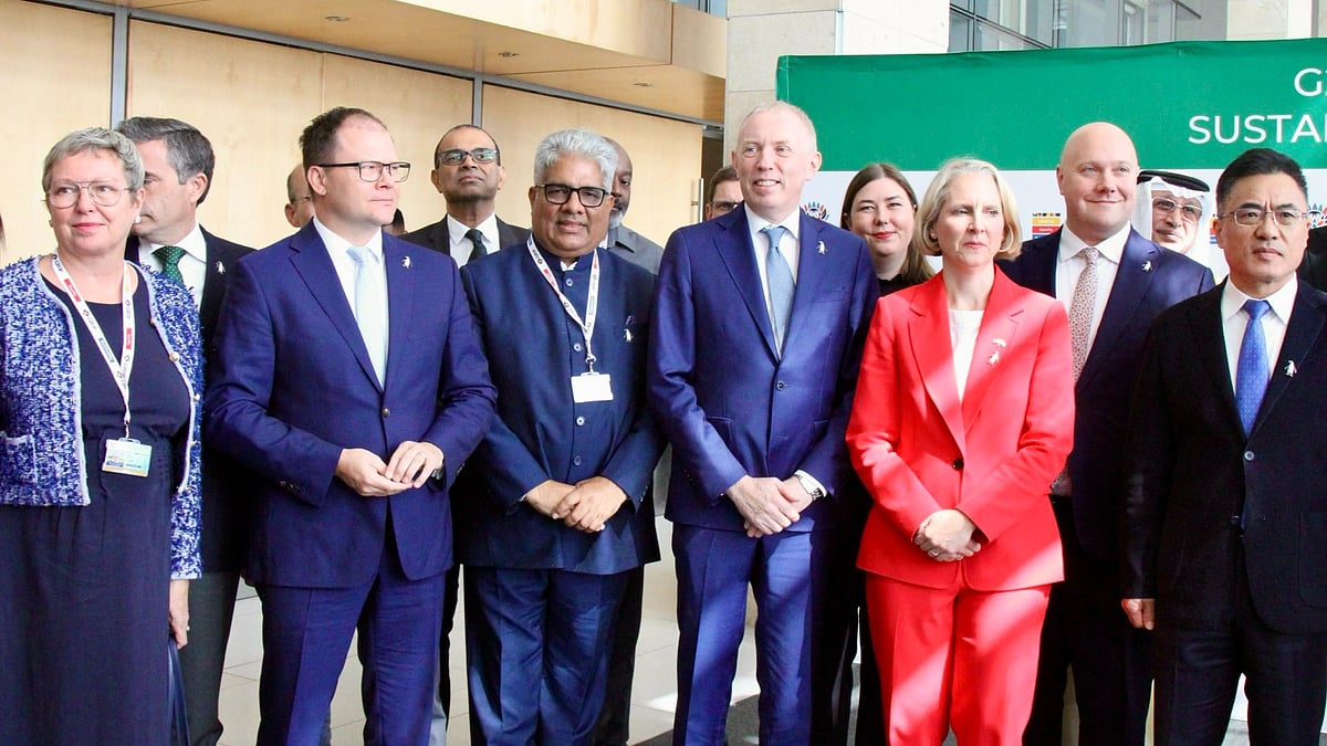 G20 Environment Ministerial meeting in Cape Town, South Africa - null