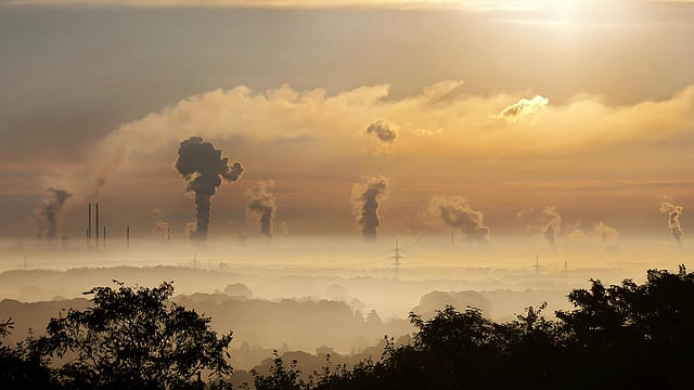 Record CO2 Surge in 2024 Deepens ‘Vicious Climate Cycle’, Warns Report